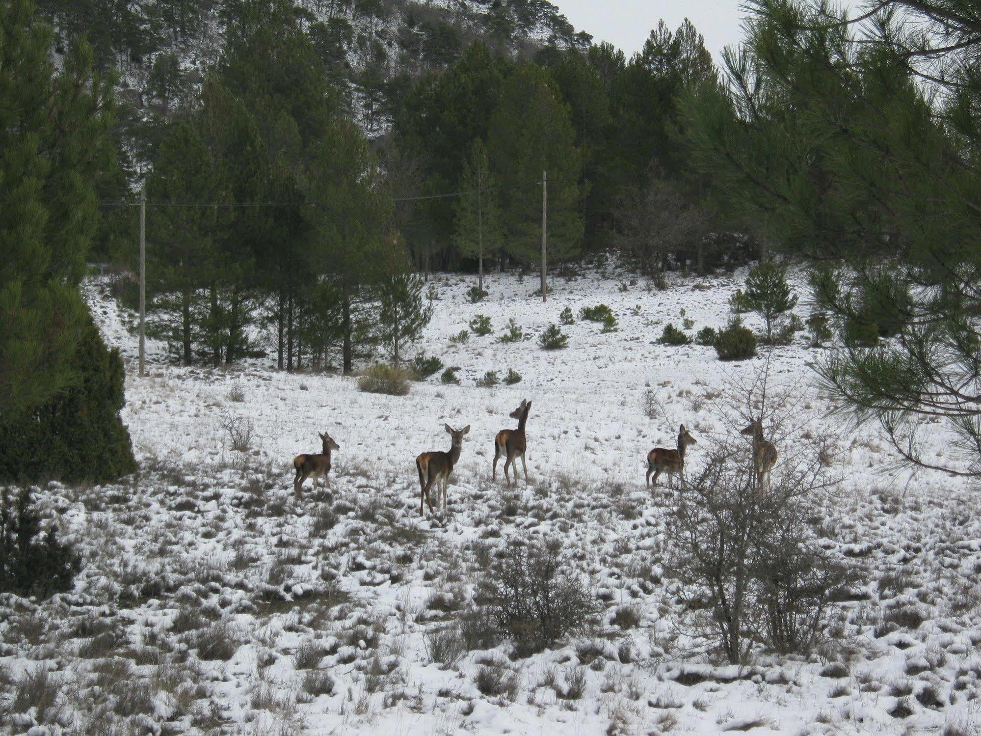 Aire Turismo Rural Uña Buitenkant foto